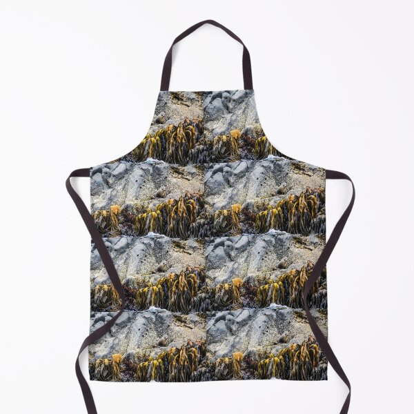 Item preview, Young fur seal on the rock designed and sold by Lyl Dil Creations.