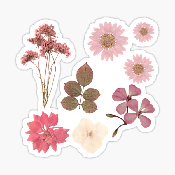 pressed flowers Sticker for Sale by crazylazygirl