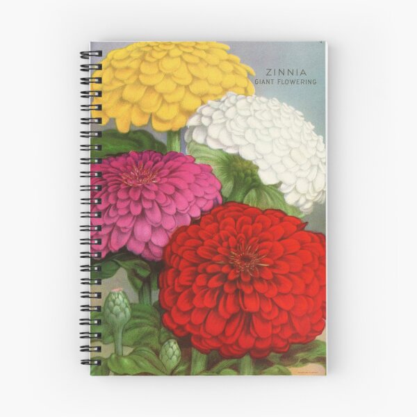 Item preview, Vintage Flower Seed Catalog Illustration ~ Circa 1920 designed and sold by dholland57.