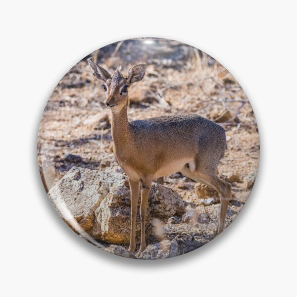 Item preview, Damara dik dik, Namibia designed and sold by Lyl Dil Creations.