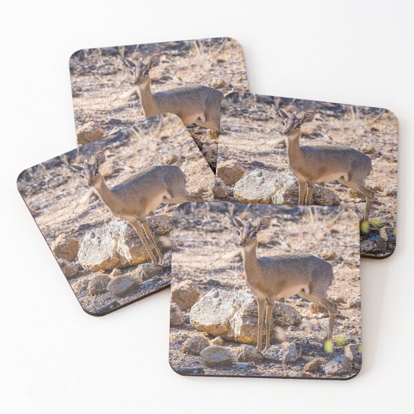 Item preview, Damara dik dik, Namibia designed and sold by Lyl Dil Creations.