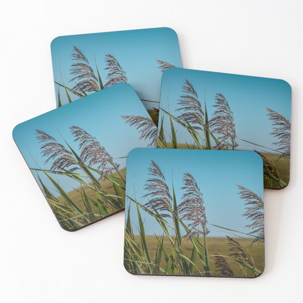 Item preview,  Beautiful Nature Marshland Views designed and sold by By The  Shore.