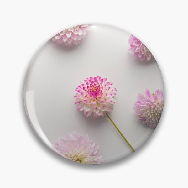 Item preview, Beautiful pink dahlias against white background designed and sold by Natalie Board.