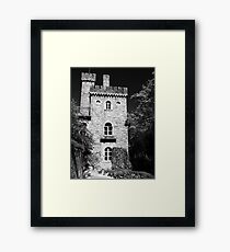 Quinta da Regaleira Framed Print