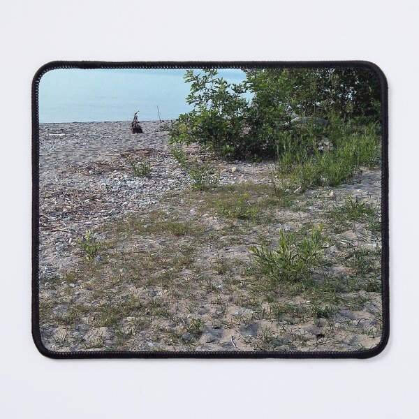 Item preview, Beach at Lake Michigan designed and sold by Scott and Mary Schneider art_photography.