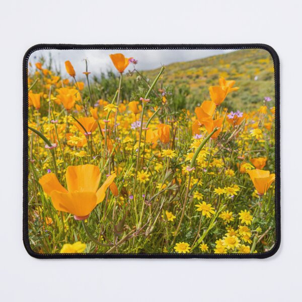 Item preview, Orange Superbloom designed and sold by beenplanted.