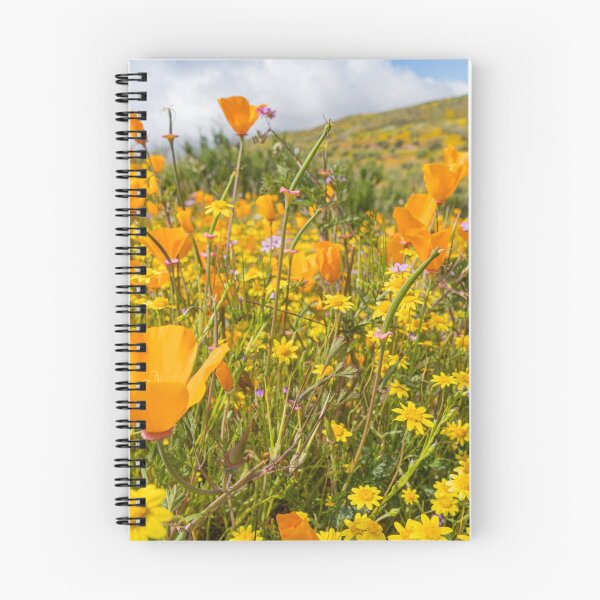Item preview, Orange Superbloom designed and sold by beenplanted.