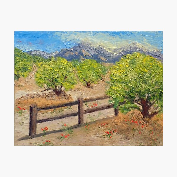 Santa Catalina Mountains Photographic Print