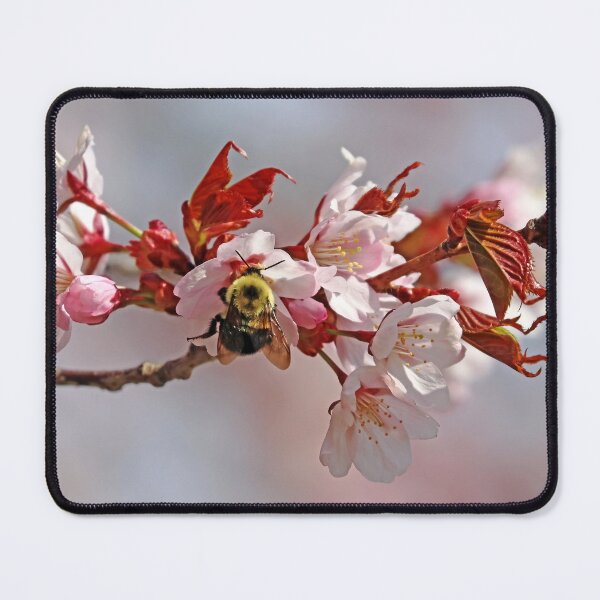 Item preview, Bumble On The Blossom designed and sold by Deb Oppermann.