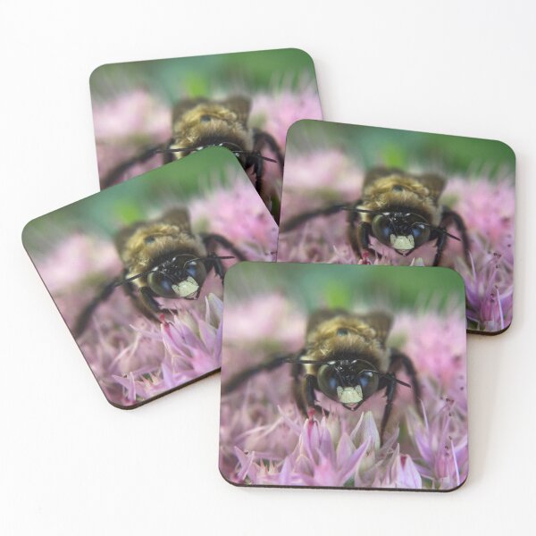 Item preview, Cute bee on pink sedum flowers  designed and sold by Katrina Valuyeva.