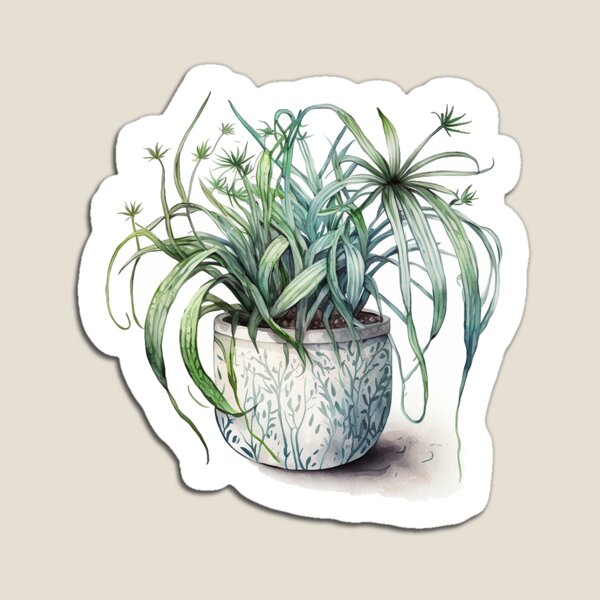 Item preview, House Plant Sticker designed and sold by Dani Ashbury.