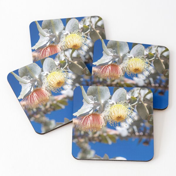 Item preview, Australian native Gumnut Blossoms designed and sold by Gary Rentenaar.