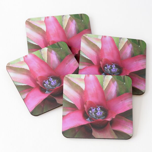 Item preview, Bromeliad Neoregelia designed and sold by Robert Armendariz.