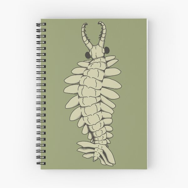 Item preview, Anomalocaris designed and sold by nervous-rook.