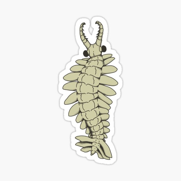 Item preview, Anomalocaris designed and sold by nervous-rook.
