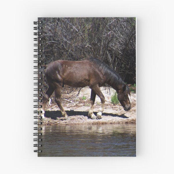 Item preview, Salt River Horse designed and sold by Ryan Stephens.