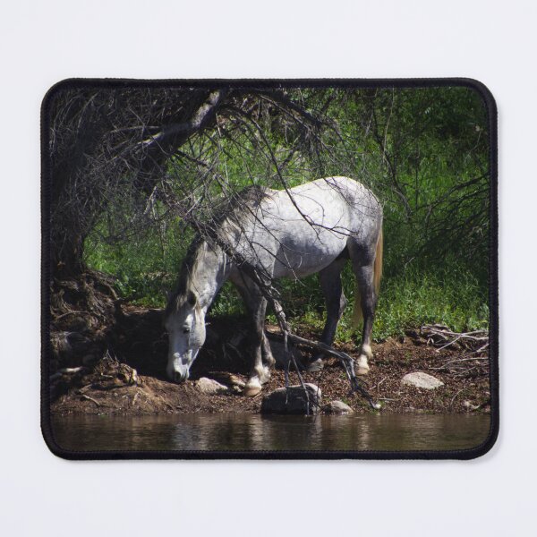 Item preview, Salt River Horse Eating designed and sold by Ryan Stephens.