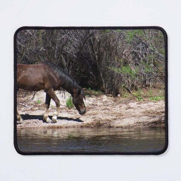 Item preview, Salt River Horse designed and sold by Ryan Stephens.