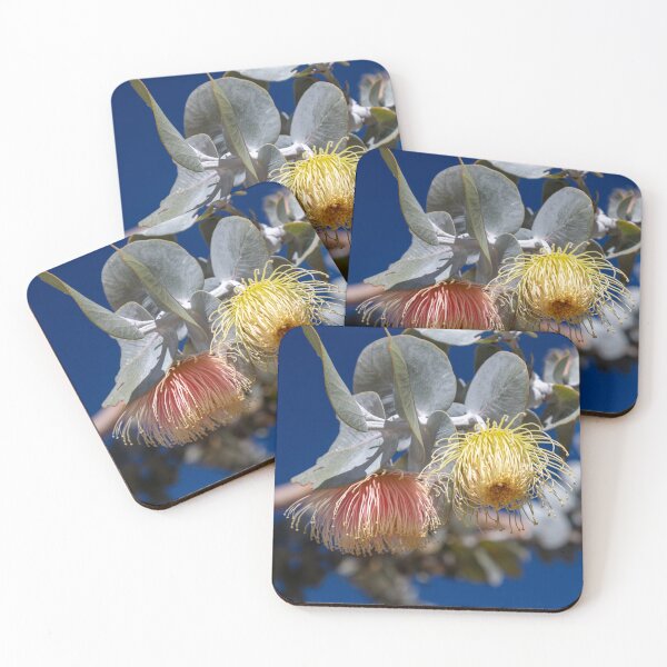 Item preview, Colourful Australian native blossoms designed and sold by Gary Rentenaar.