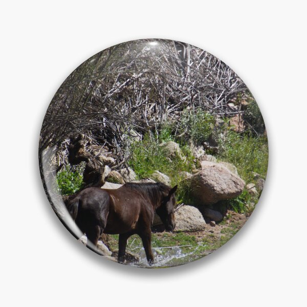 Item preview, Salt River Horse Trotting designed and sold by Ryan Stephens.