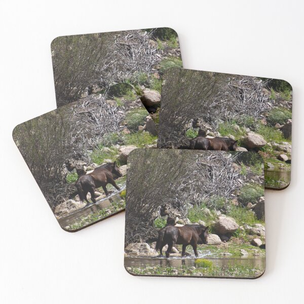 Item preview, Salt River Horse Trotting designed and sold by Ryan Stephens.