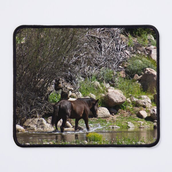 Item preview, Salt River Horse Trotting designed and sold by Ryan Stephens.