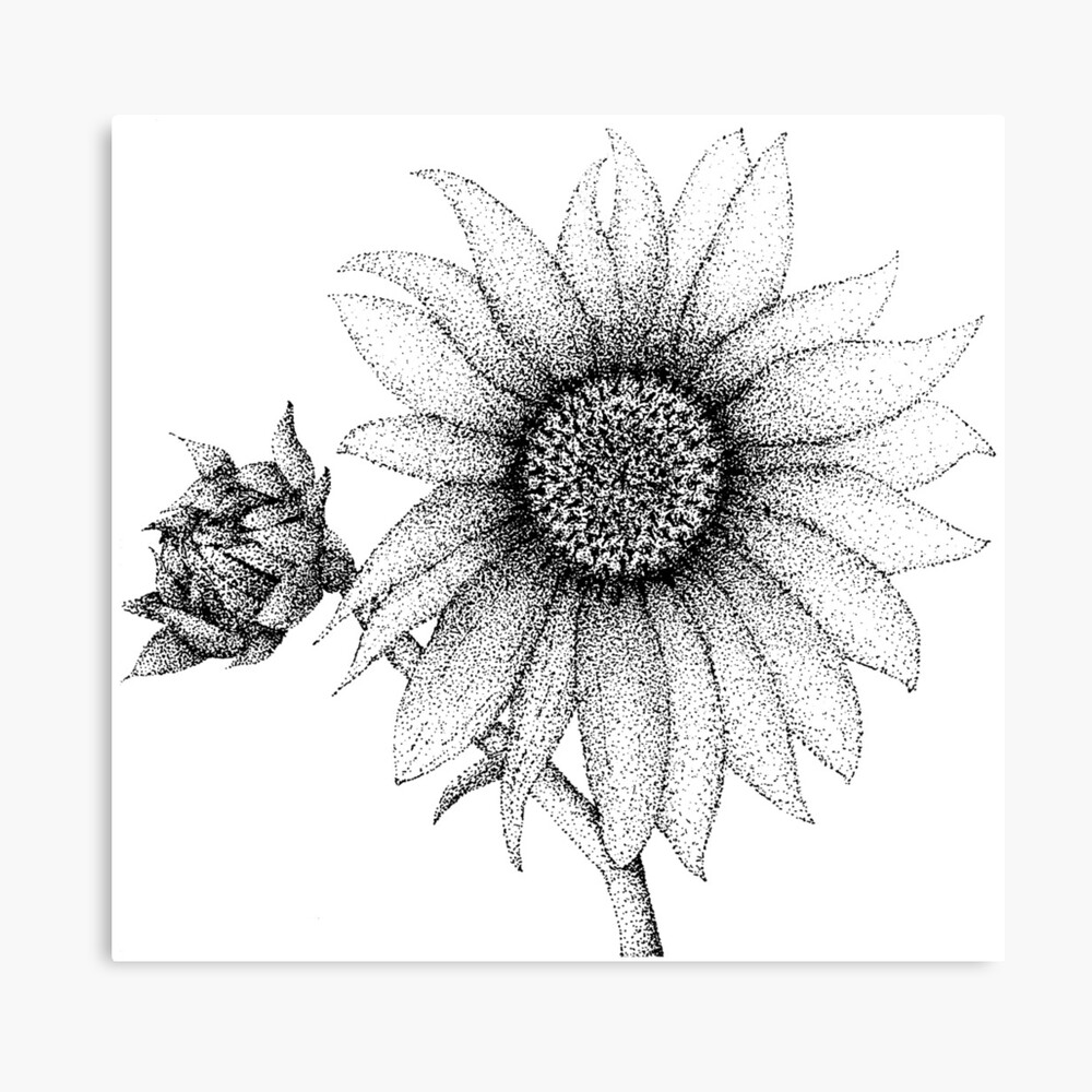 April special drawing __ Sunflower drawing for beginners with easy steps _  Pallavi Drawing Academy - video Dailymotion