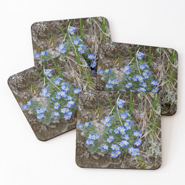 Item preview, Blue apline flowers designed and sold by Shizenkai.