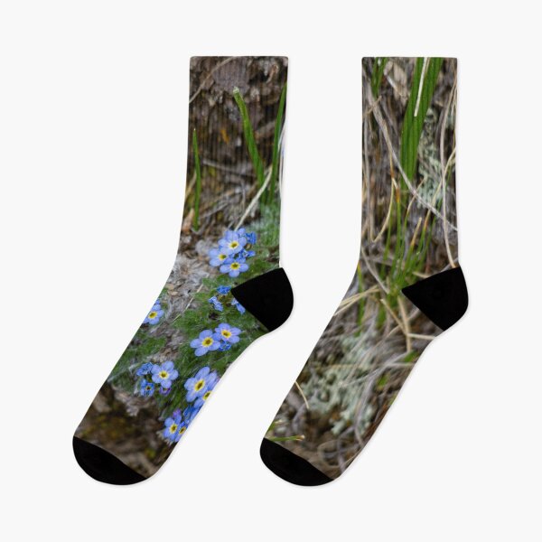Item preview, Blue apline flowers designed and sold by Shizenkai.