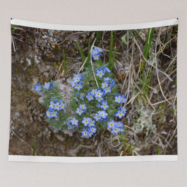 Item preview, Blue apline flowers designed and sold by Shizenkai.
