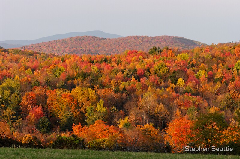 "Peak Foliage Vermont" by Stephen Beattie Redbubble