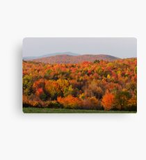 Peak Foliage - Vermont Canvas Print