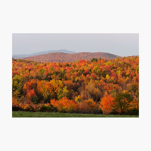Peak Foliage - Vermont Photographic Print
