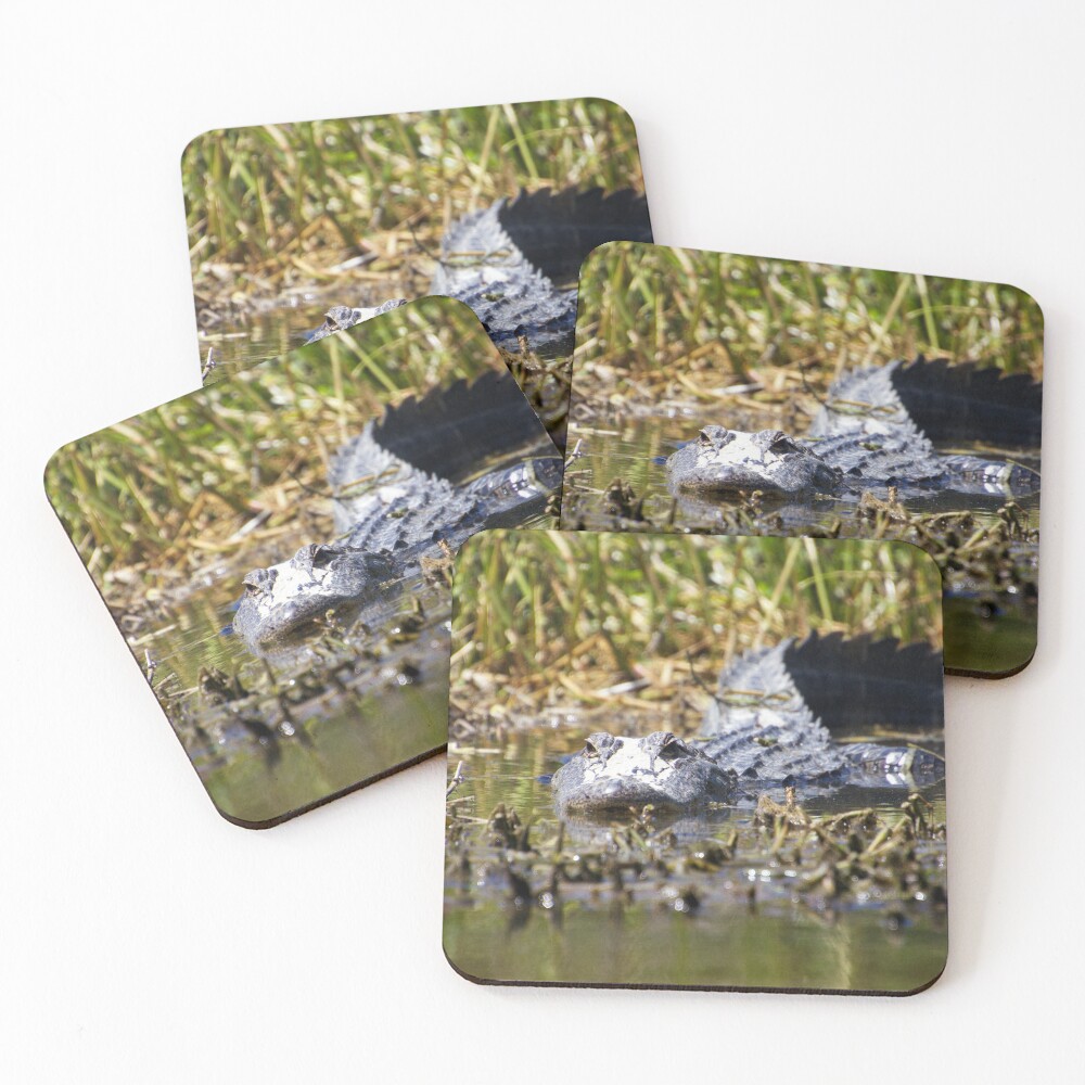 Item preview, Coasters (Set of 4) designed and sold by RScaptor.