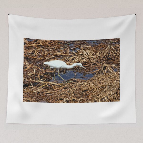 Item preview, Cattle Egret 1 - Florida designed and sold by jtrommer.