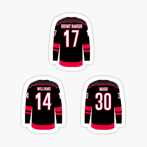 Frederik Andersen Hurricanes Jersey Sticker for Sale by tayloram8