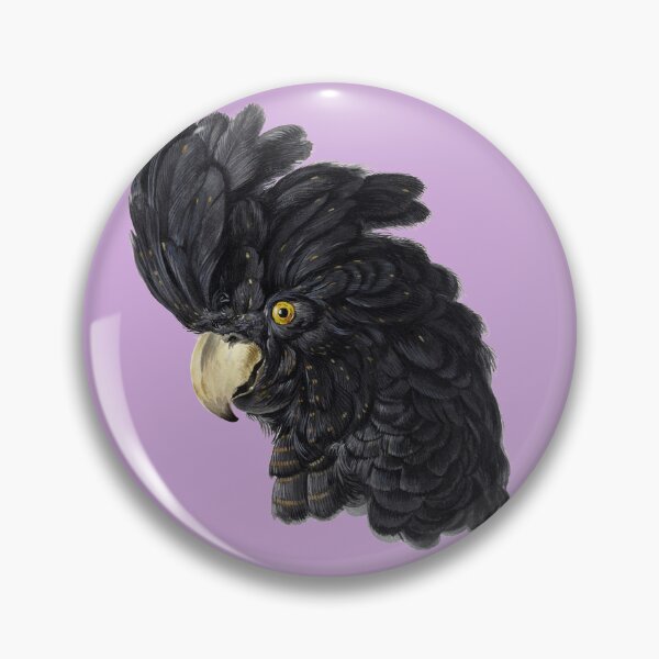 Item preview, Head of a Cockatoo (1725 - 1792) by Aert Schouman designed and sold by Flamin' Galah.