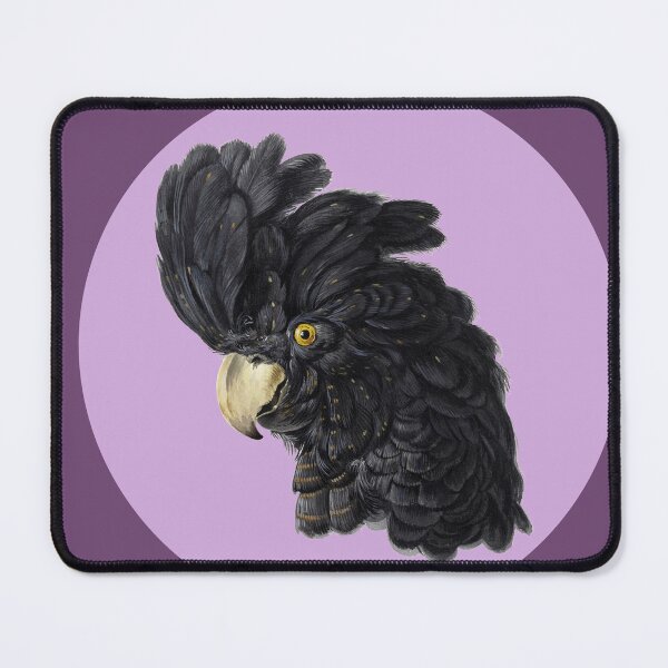 Item preview, Head of a Cockatoo (1725 - 1792) by Aert Schouman designed and sold by Flamin' Galah.