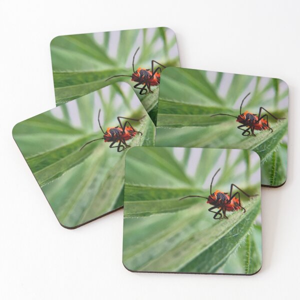 Item preview, Red milkweed bug on green foliage  designed and sold by Katrina Valuyeva.