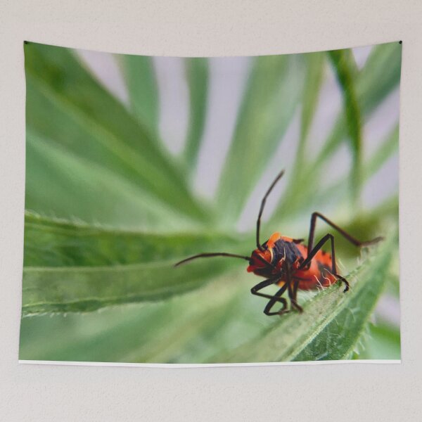 Item preview, Red milkweed bug on green foliage  designed and sold by Katrina Valuyeva.