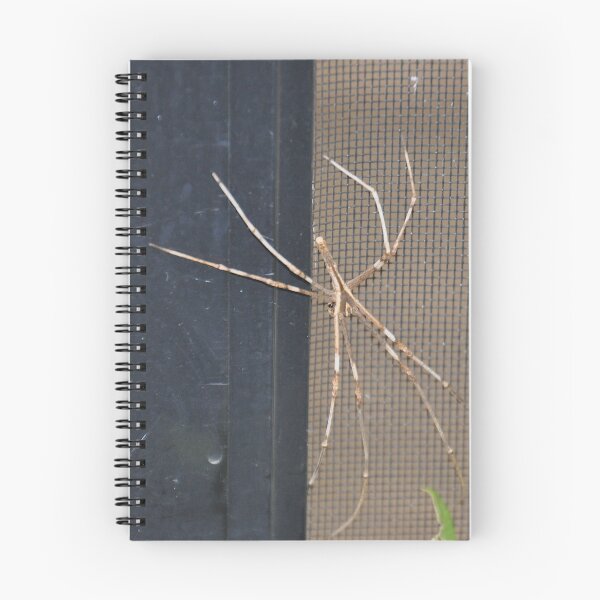 Item preview, Stick Insect, Ermington, Australia 20230118 designed and sold by muz2142.