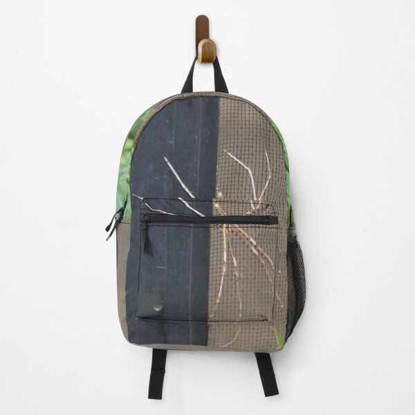 Item preview, Stick Insect, Ermington, Australia 20230118 designed and sold by muz2142.