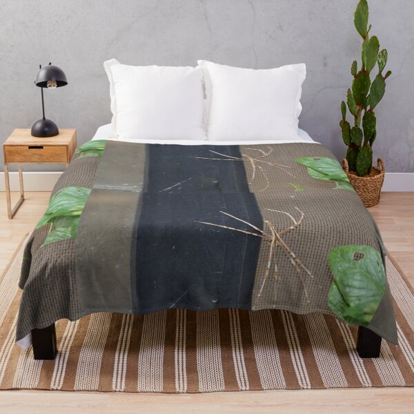 Item preview, Stick Insect, Ermington, Australia 20230118 designed and sold by muz2142.
