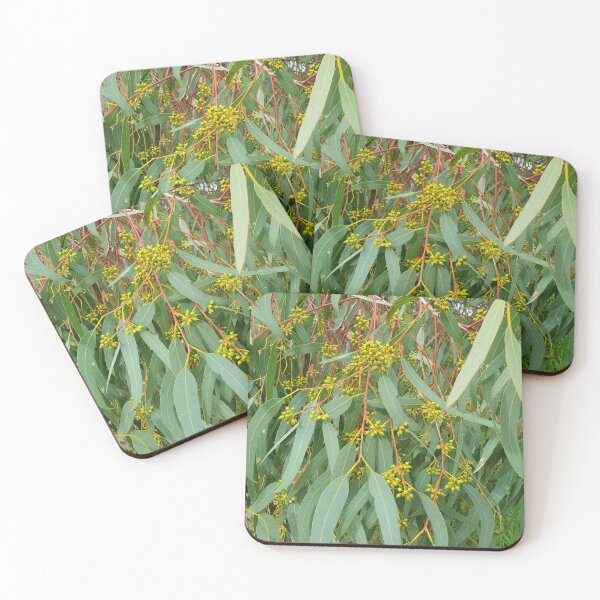 Item preview, River Red Gum designed and sold by Claire L Page Photography.
