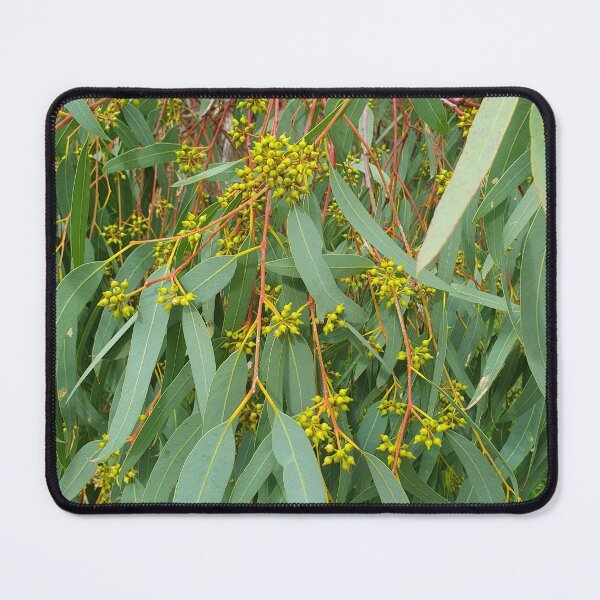 Item preview, River Red Gum designed and sold by Claire L Page Photography.
