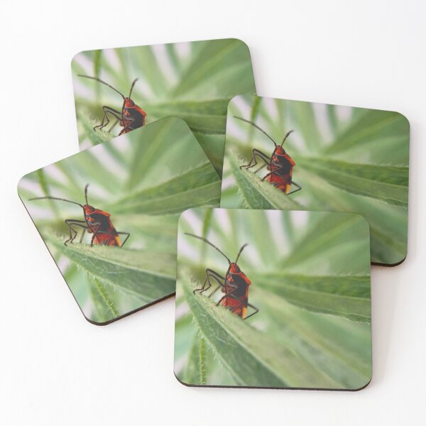 Item preview, Red milkweed beetle underside view on green foliage designed and sold by Katrina Valuyeva.