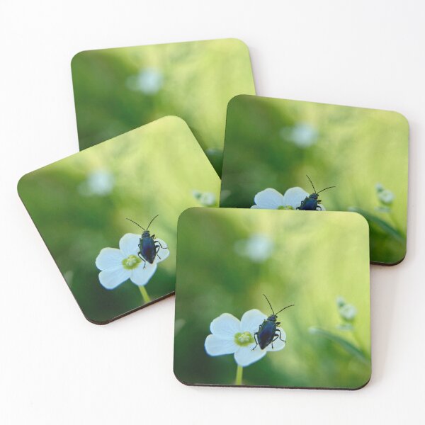 Item preview, Dreamy black beetle perched on white flower  designed and sold by Katrina Valuyeva.