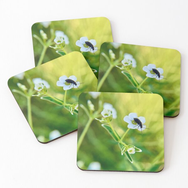 Item preview, Dreamy black beetle perched on white flower  designed and sold by Katrina Valuyeva.