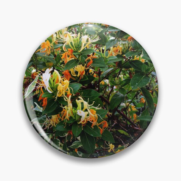 Item preview, HONEYSUCKLE BUSH designed and sold by JoAnnHayden.