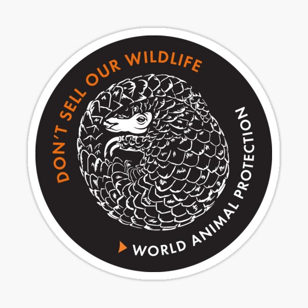 Pangolin - Don't sell our wildlife Sticker